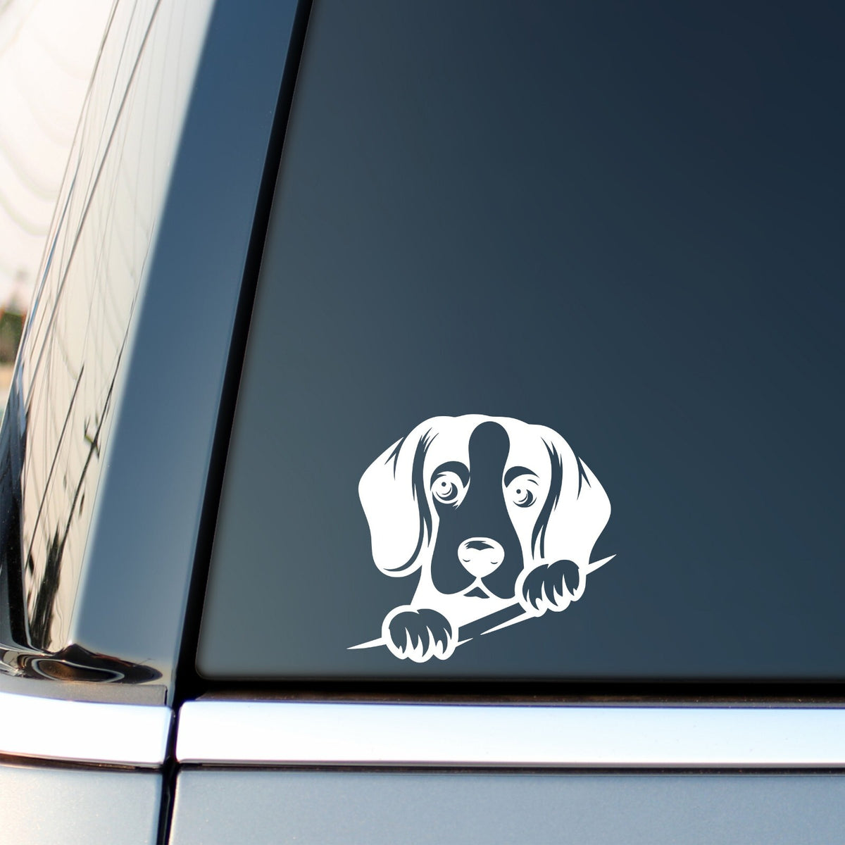 Peeking Beagle design 2 vinyl sticker on a white background.