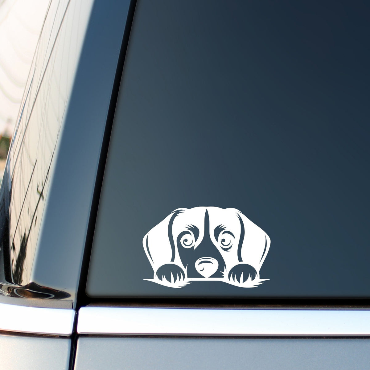 Peeking Beagle design 3 vinyl sticker on a white background.