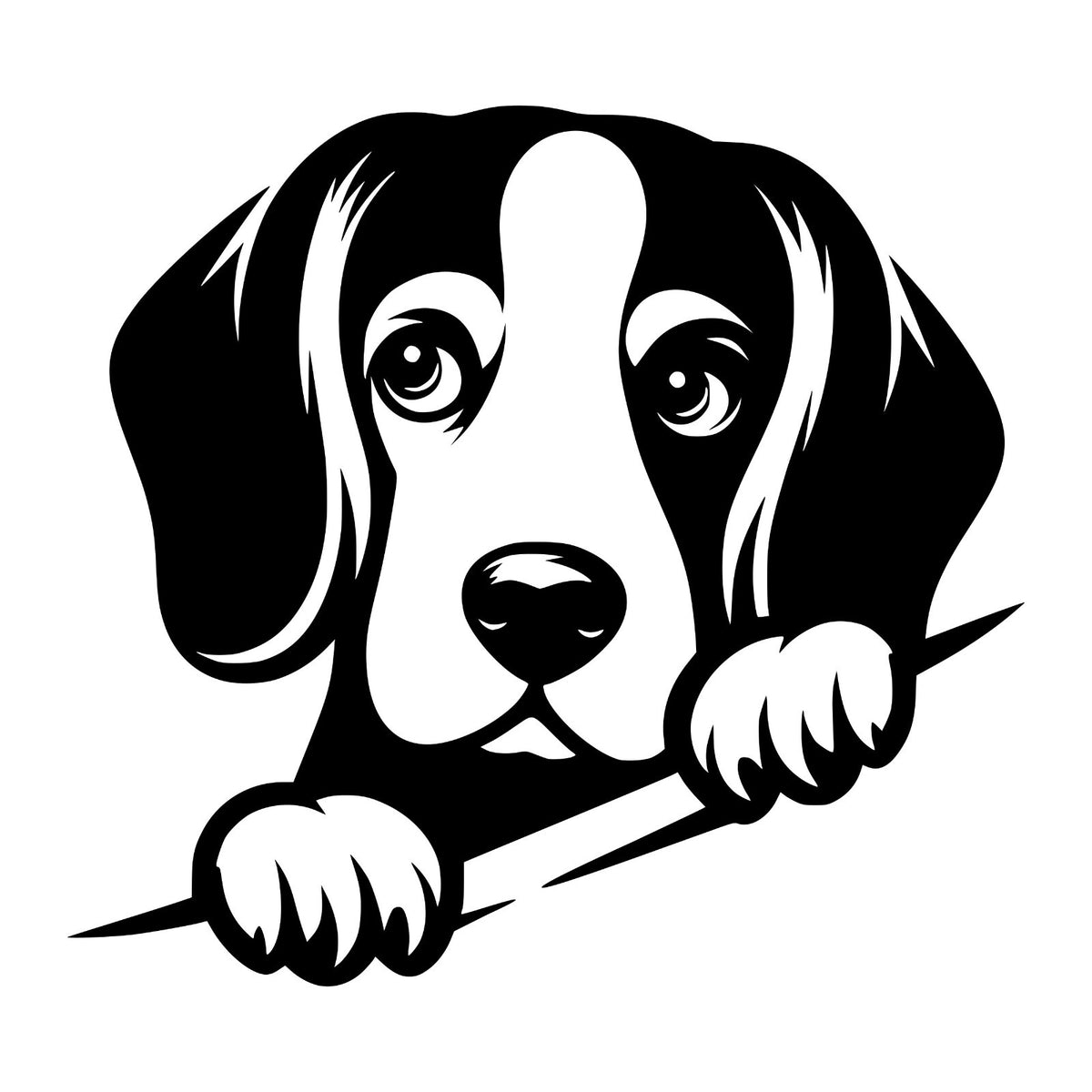 Peeking Beagle design 2 vinyl car sticker additional product view.