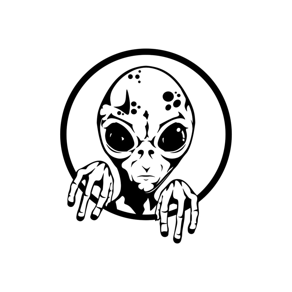 Funny Alien Head Vinyl Decal - Car, Van, Camper, Motorhome caravan sticker image 2