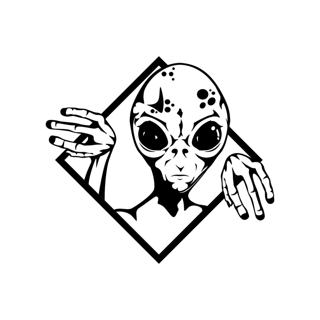 Alien Sticker, Aliens UFO Funny Decal, Large Sticker for a Car Van Camper Caravan Motorhome caravan sticker image 2