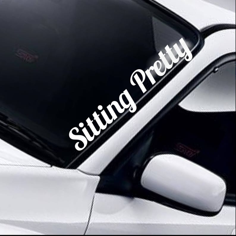 Sitting Pretty bold windscreen sticker fitted to a car windscreen