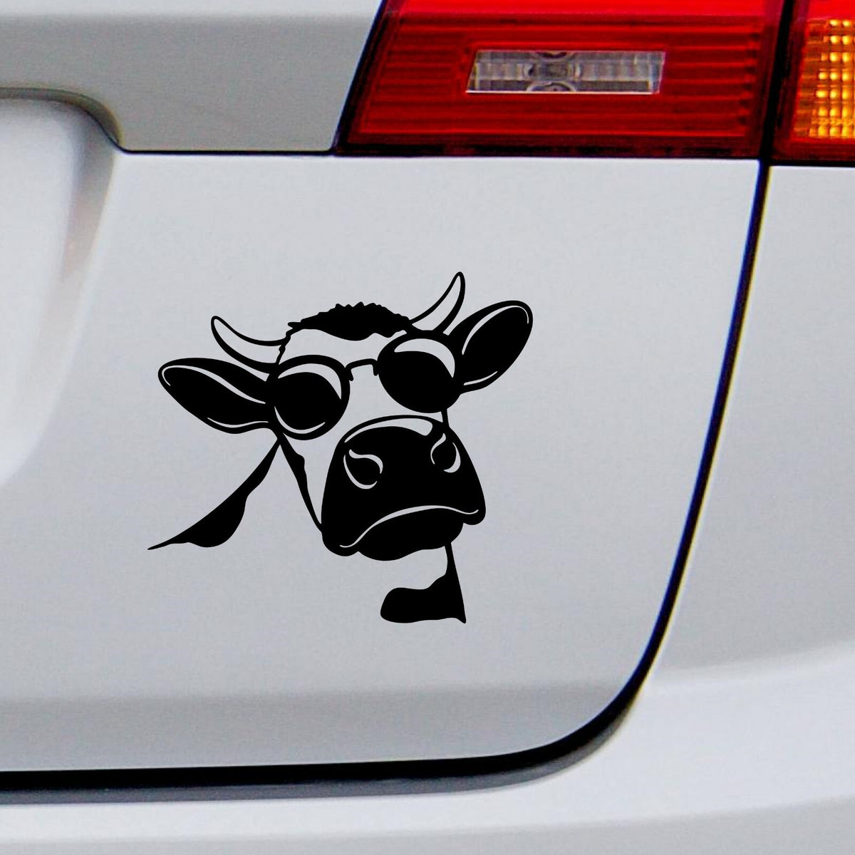 Black cow with sunglasses decal on a white vehicle tailgate.