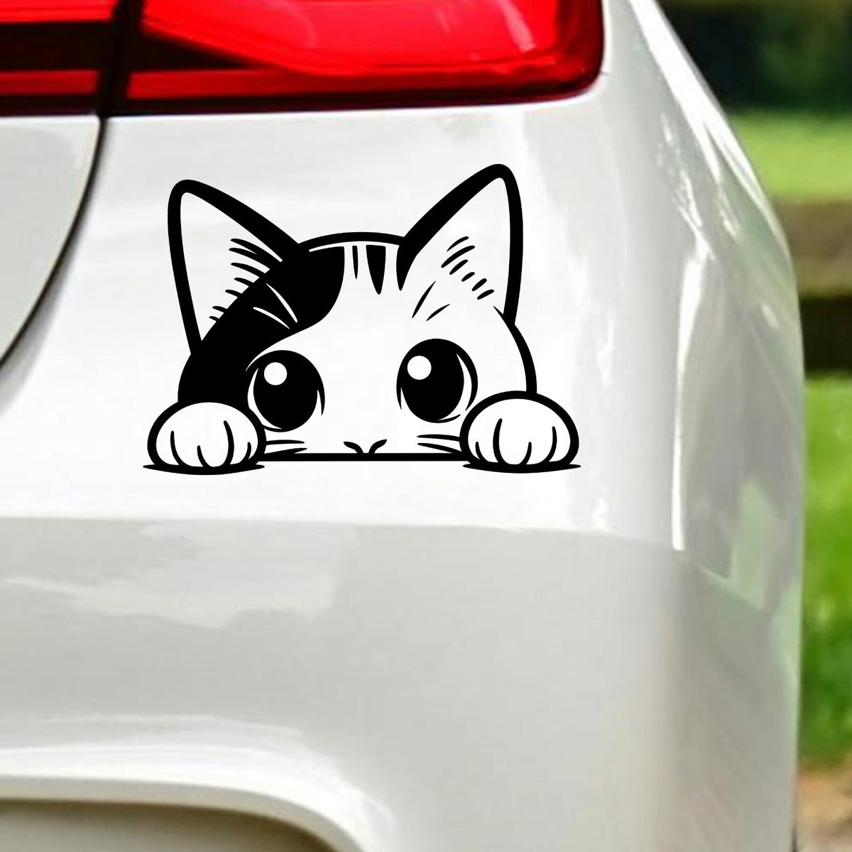 Peeking Cat Car Sticker – Front View