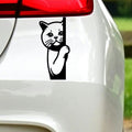 Peeking Cat Car Sticker – Side View Design 2