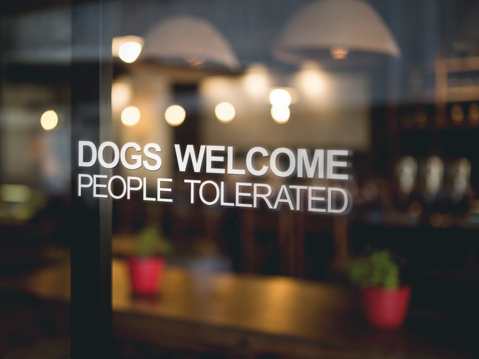 Dogs Welcome People Tolerated Shop Window Sticker alternate product preview 3