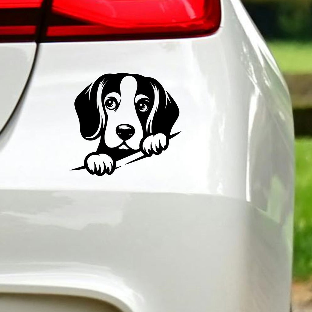 Peeking Beagle Car Sticker – Design 2 in the design shown.