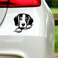 Peeking Beagle Car Sticker – Design 2 in the design shown.
