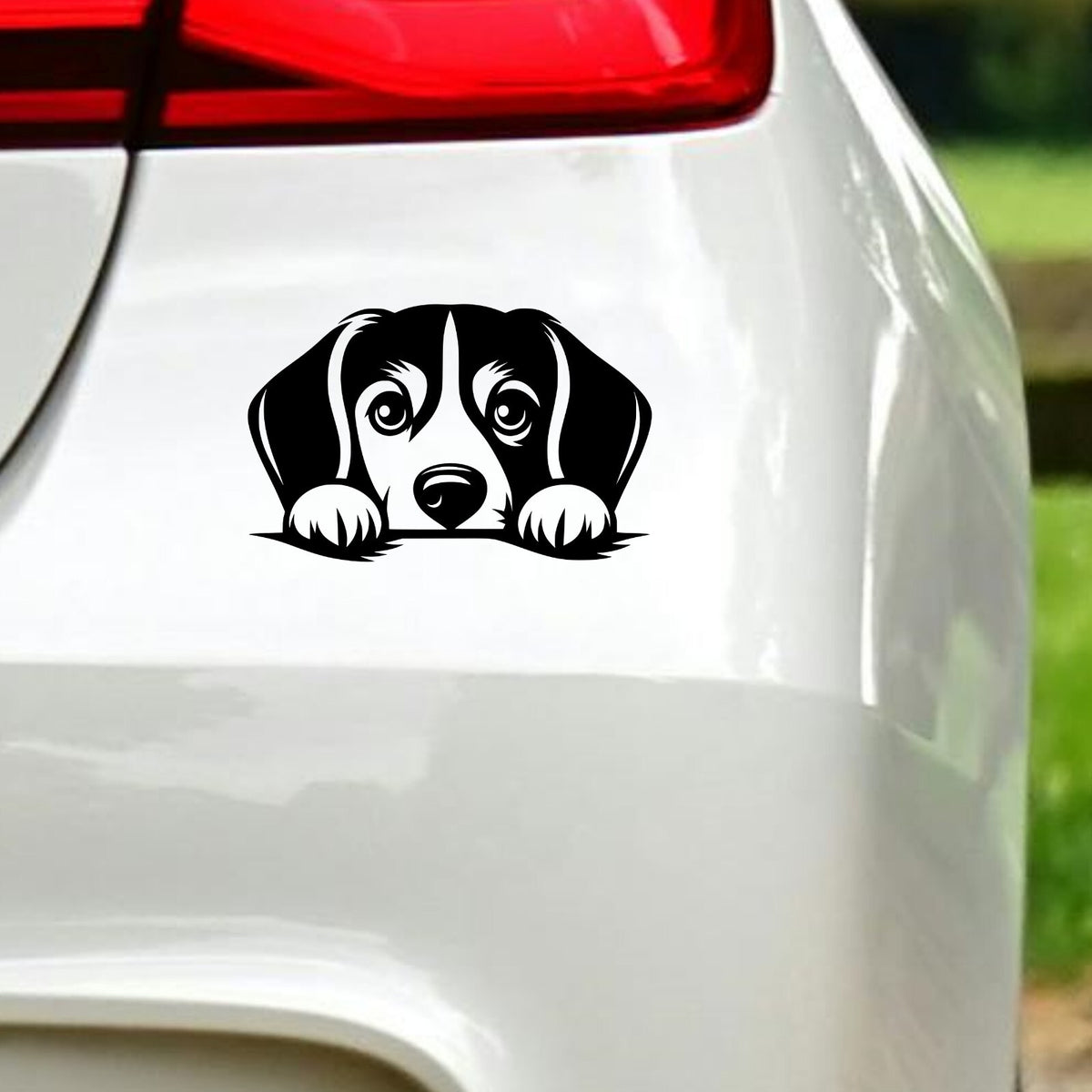 Peeking Beagle Car Sticker – Design 3 in the design shown.