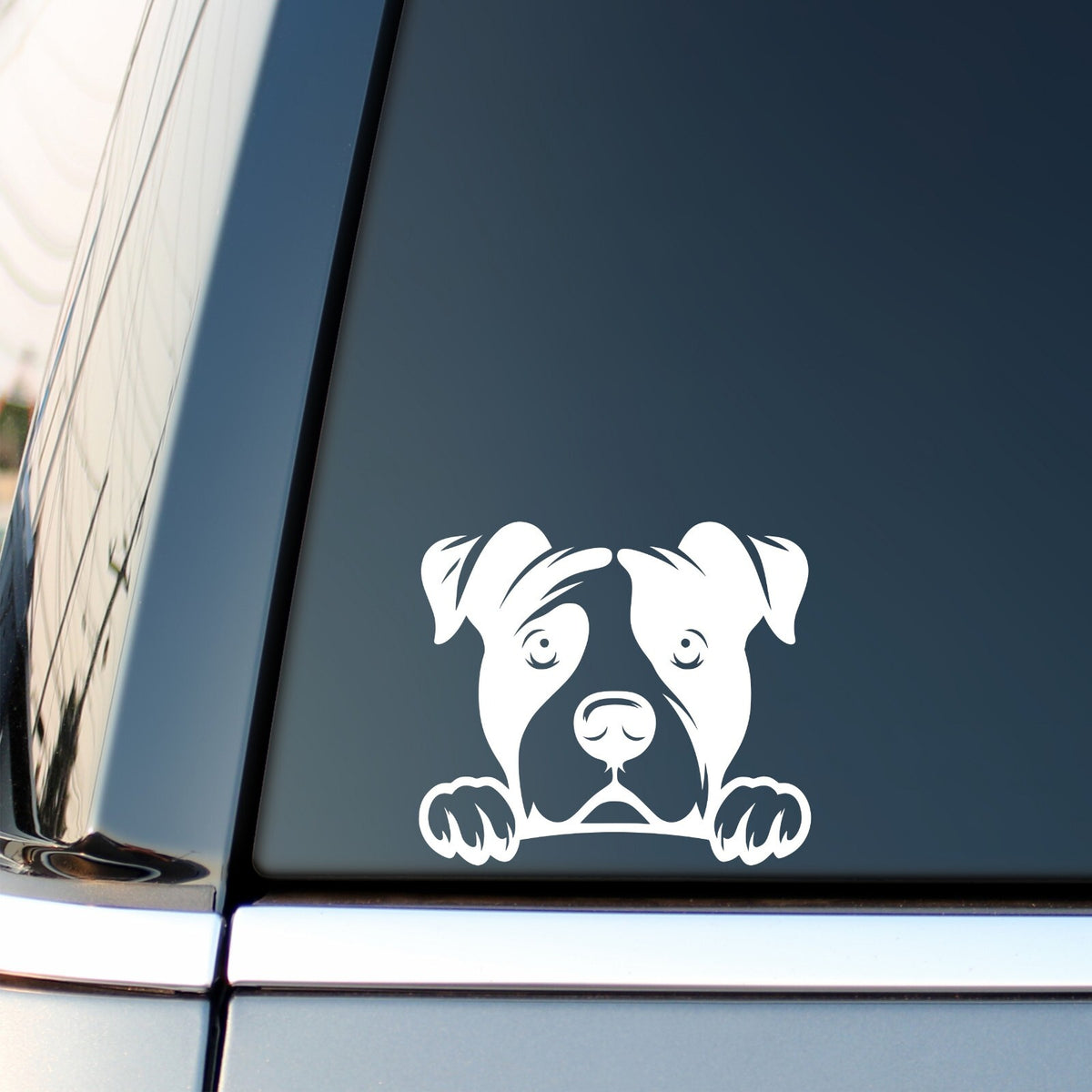 White Peeking Pitbull decal on a car side window.