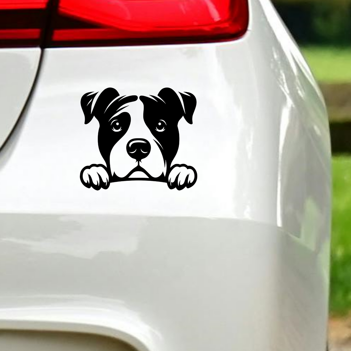 Peeking Pitbull Car Sticker in the design shown.