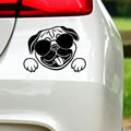 Pug with Sunglasses vinyl decal for car, van or camper.