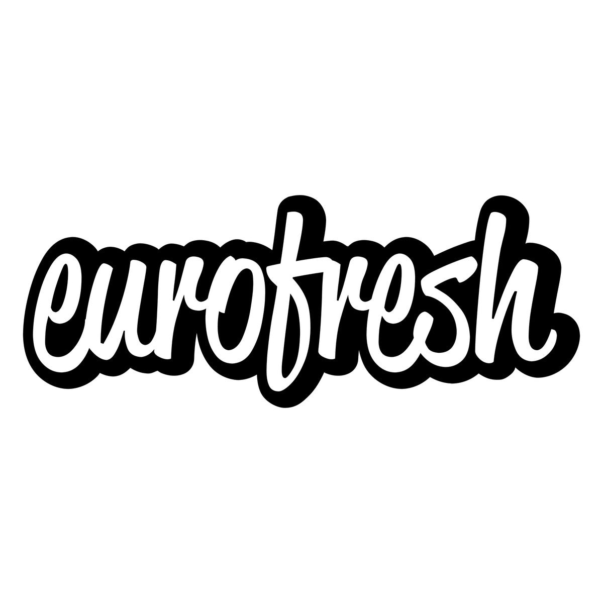 Euro Fresh Car Sticker