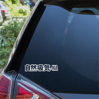 Naturally Aspirated NA Outline Kanji Car Sticker