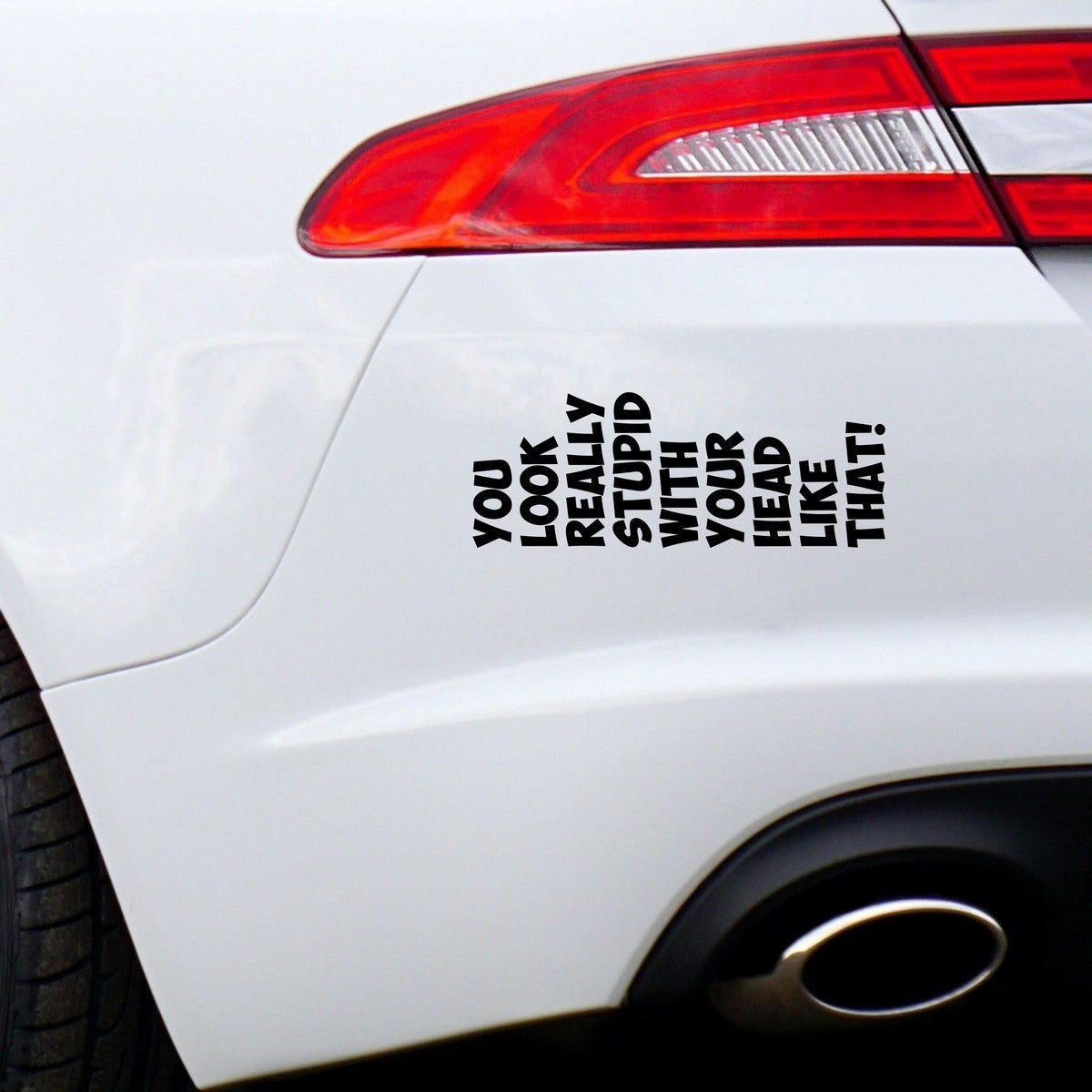 You Look Really Stupid With Your Head Like That Car Sticker